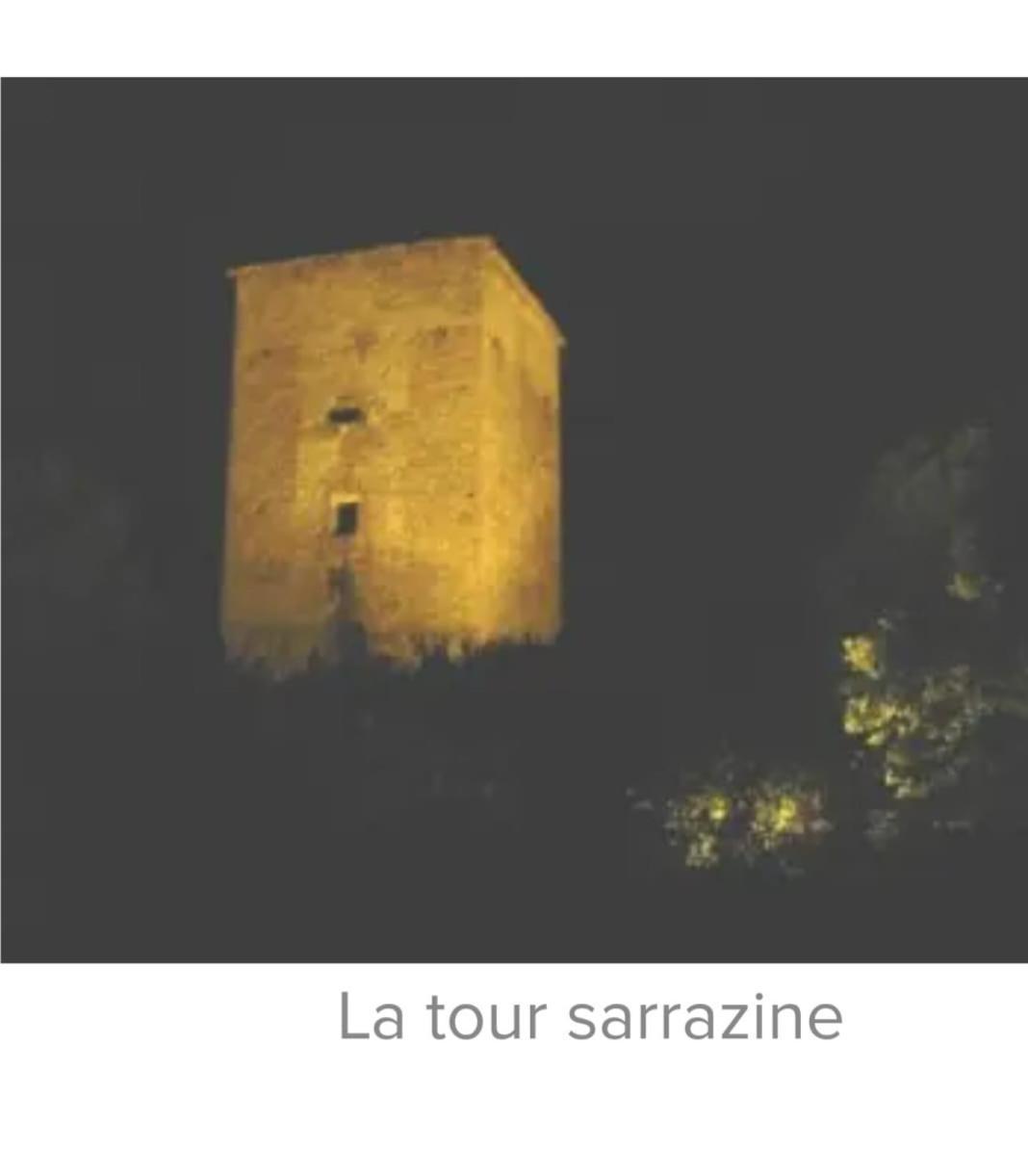 La Jolie Vue Et La Maison De La Tour- Cordes-Sur-Ciel Les Cabannes  Eksteriør billede